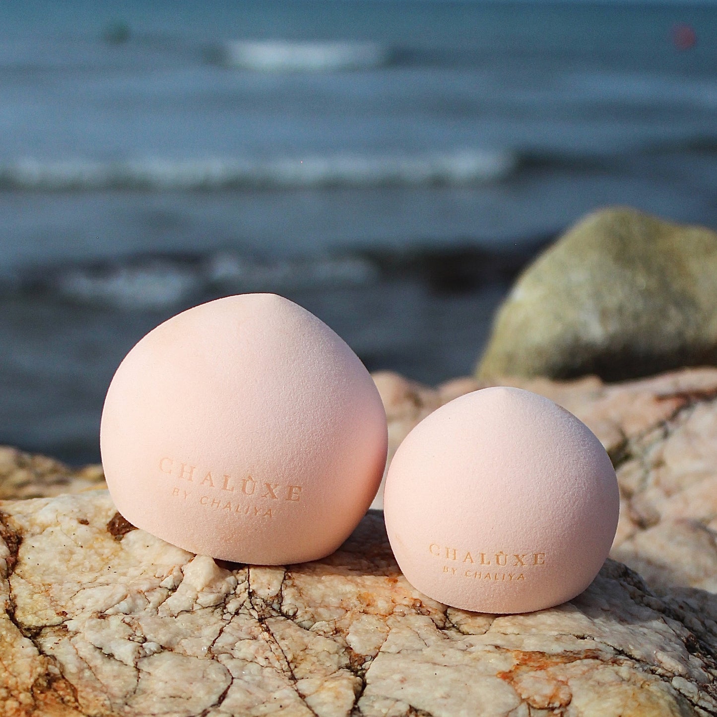 Chalùxe Face & Body Sponge